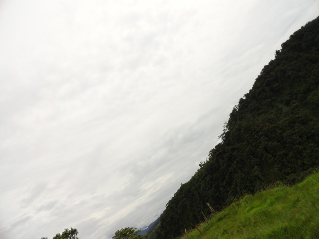 Foto: Paisaje - Baeza (Napo), Ecuador