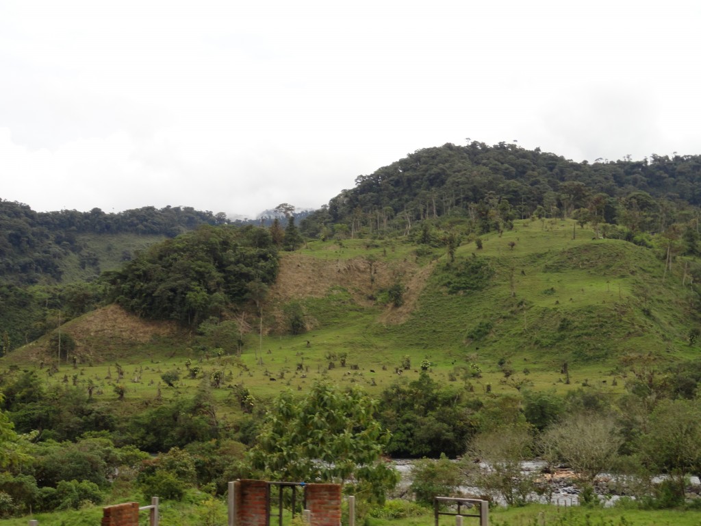 Foto: Cosanga Paisaje - Baeza (Napo), Ecuador
