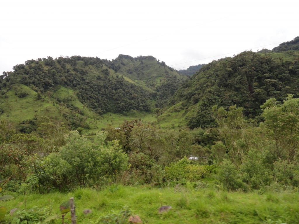 Foto: Cosanga Paisaje - Baeza (Napo), Ecuador