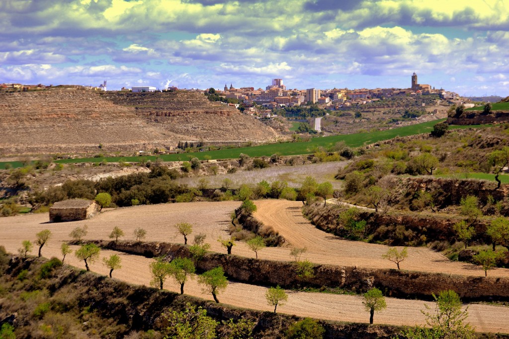 Foto: Paisaje de Cervera - Cervera (Lleida), España