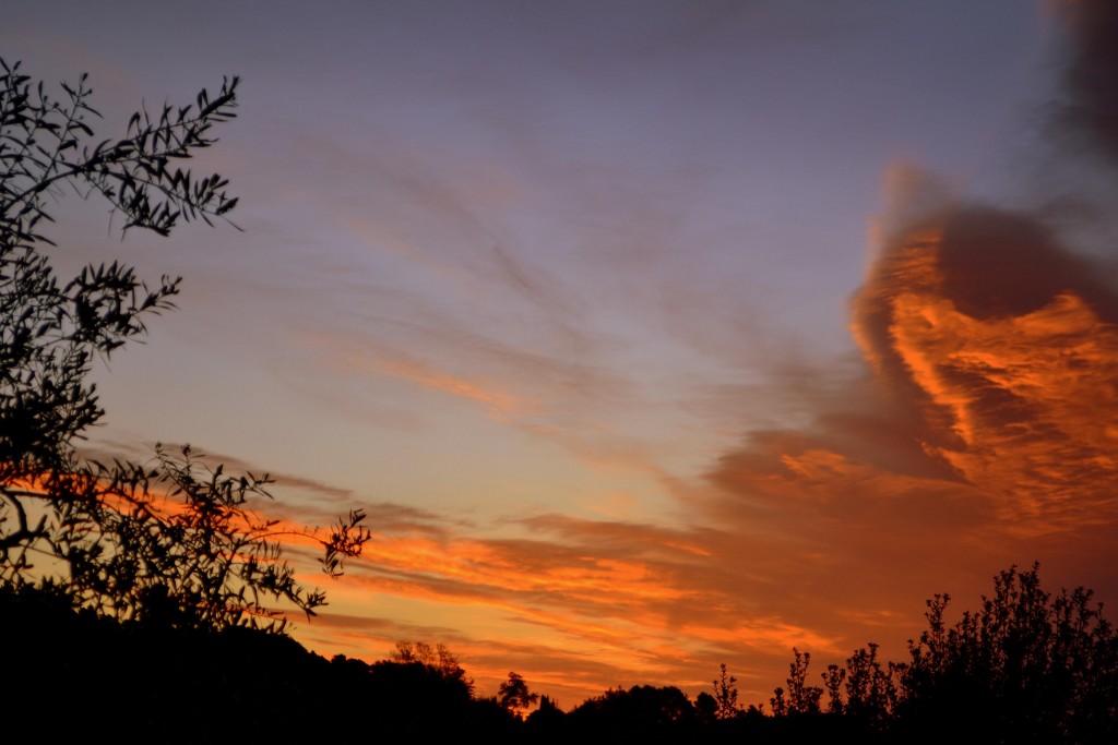 Foto de Torrelles de Foix (Barcelona), España