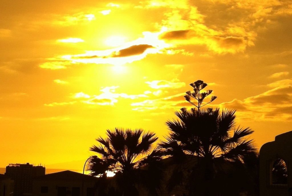 Foto de Arona (Santa Cruz de Tenerife), España
