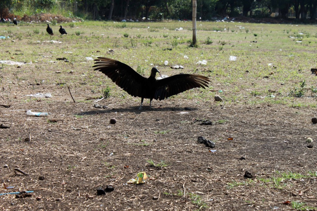Foto de Tapachula (Chiapas), México