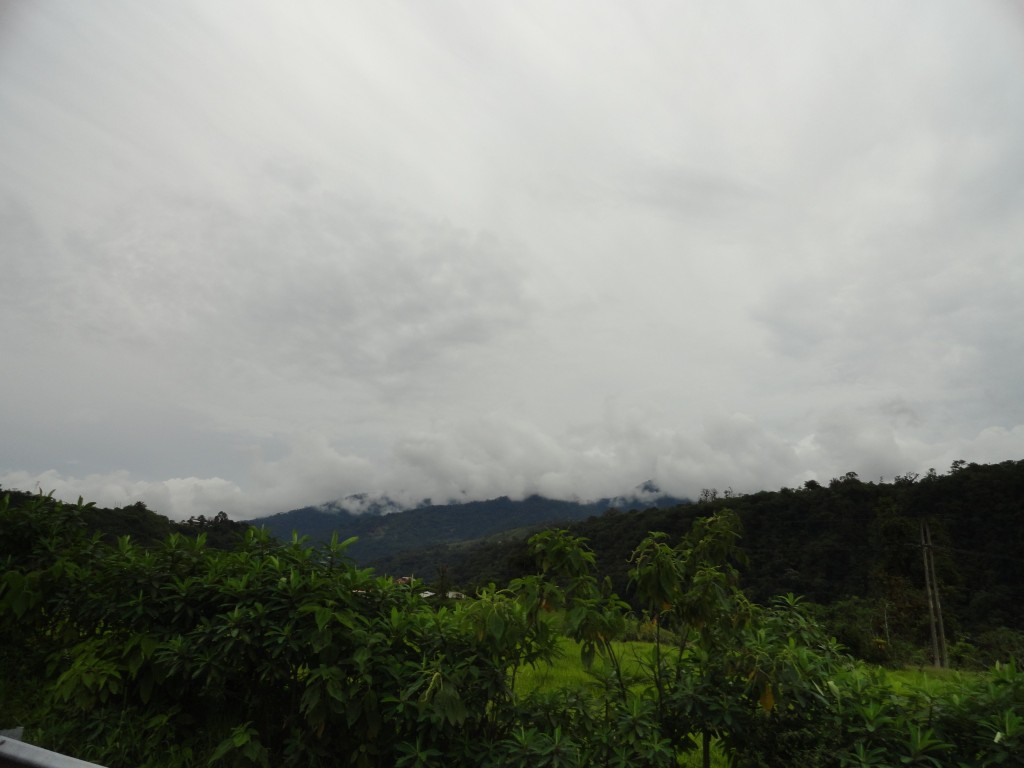 Foto: Paisaje - Baeza (Napo), Ecuador