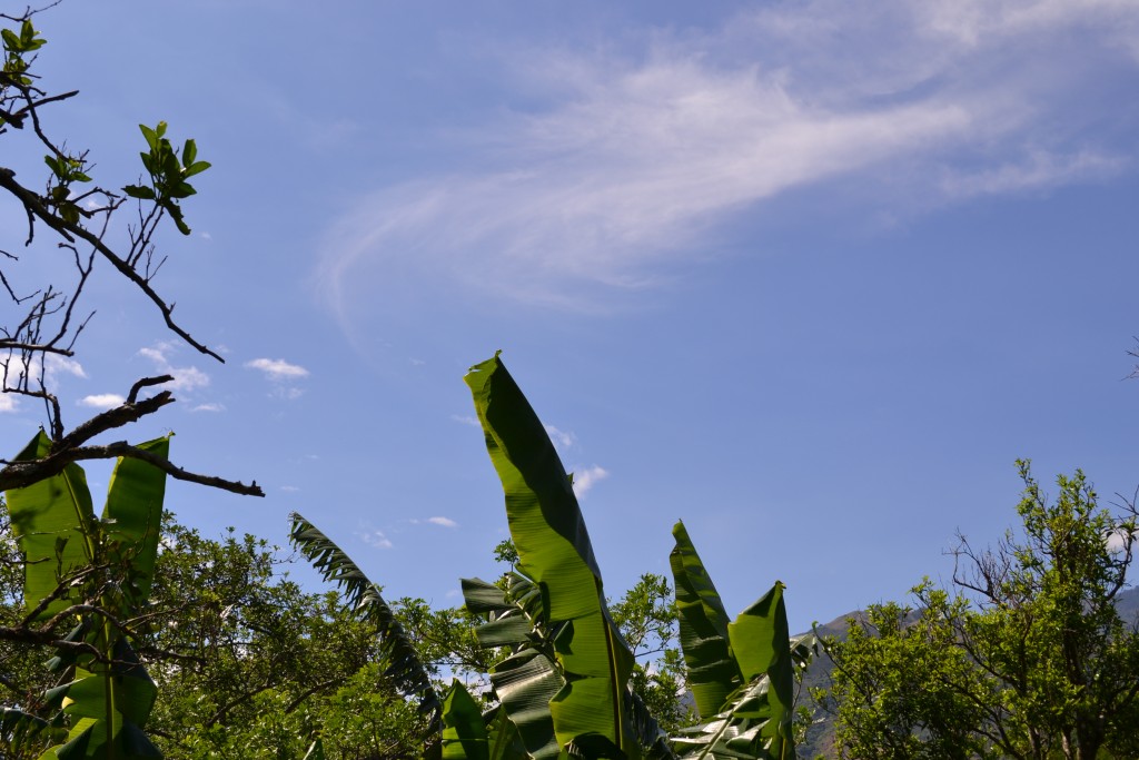 Foto de San Ignacio De Acosta (San José), Costa Rica