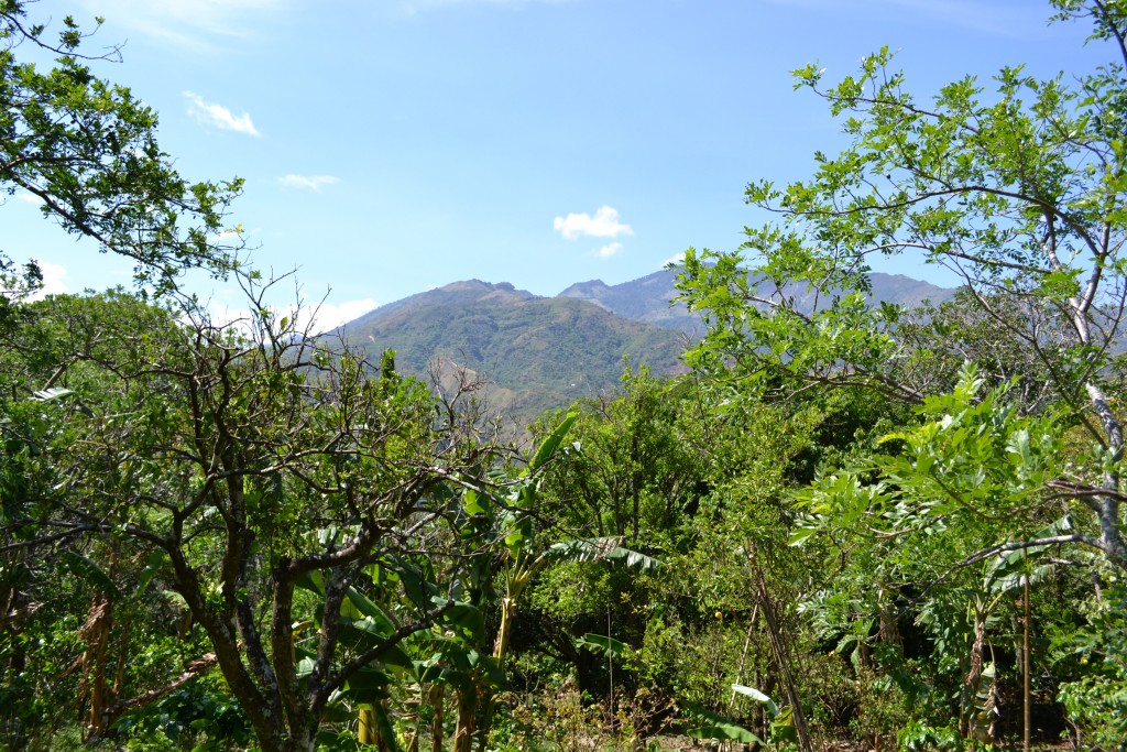 Foto de San Ignacio De Acosta (San José), Costa Rica