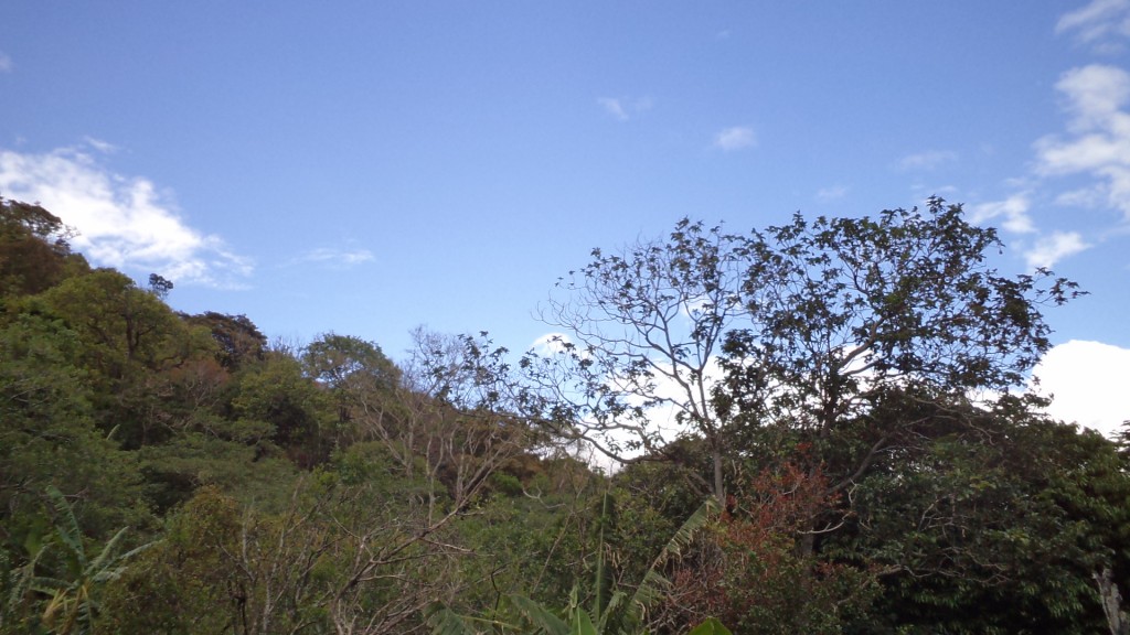 Foto de San Ignacio De Acosta (San José), Costa Rica