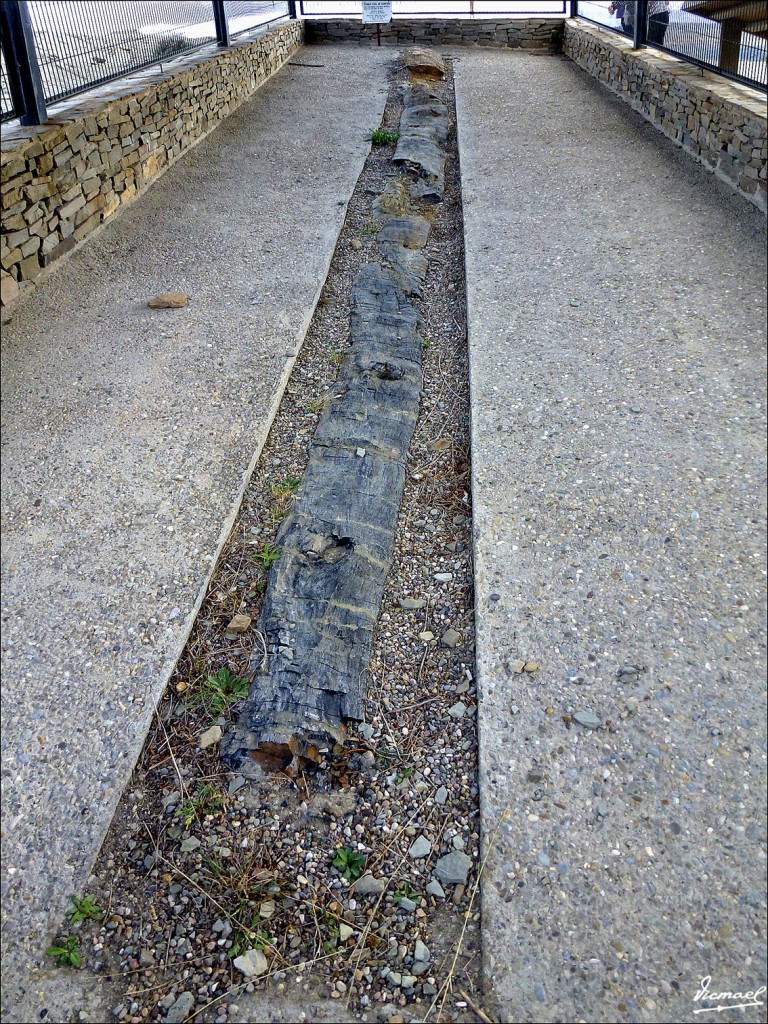 Foto: 120423-47 CORNAGO - Cornago (La Rioja), España