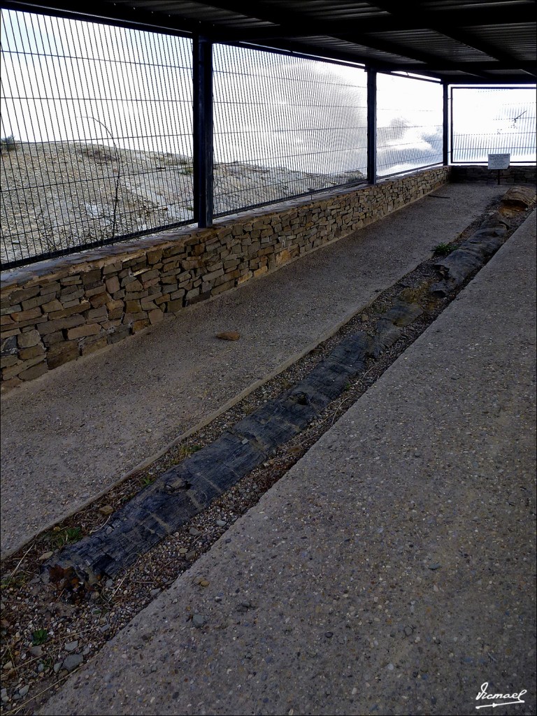 Foto: 120423-48 CORNAGO - Cornago (La Rioja), España