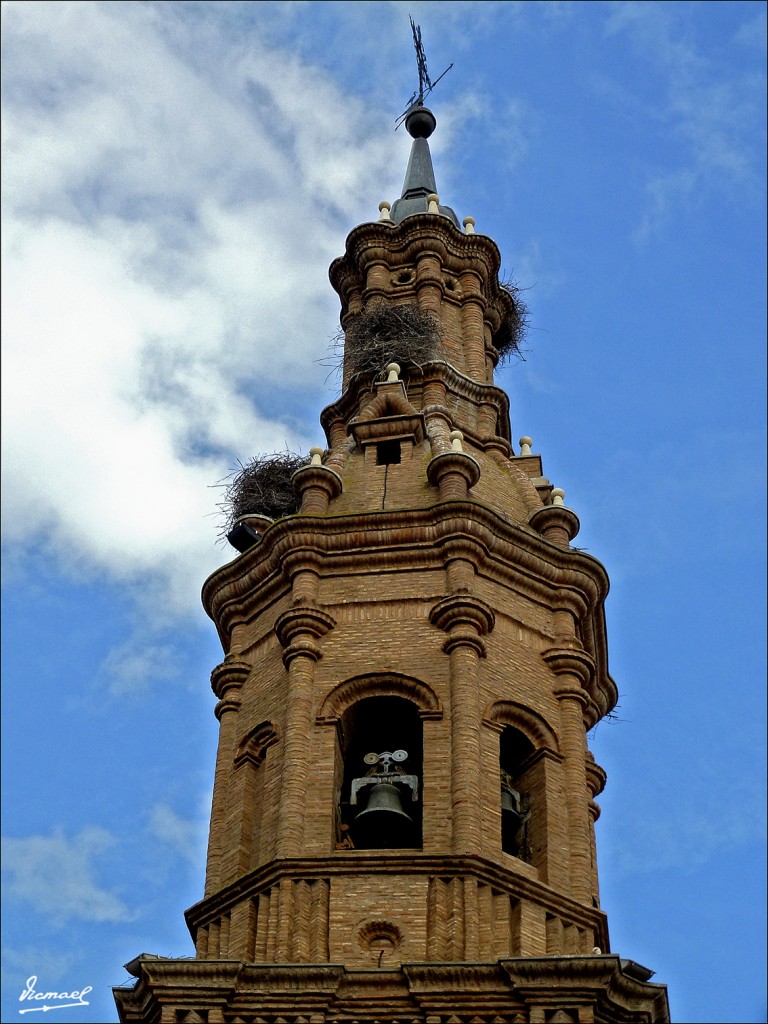 Foto: 120423-68 IGEA - Igea (La Rioja), España