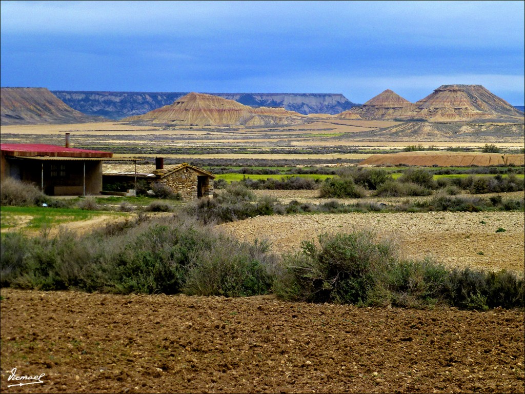 Foto: 120426-07 BARDENAS REALES - Bardenas Reales (Navarra), España