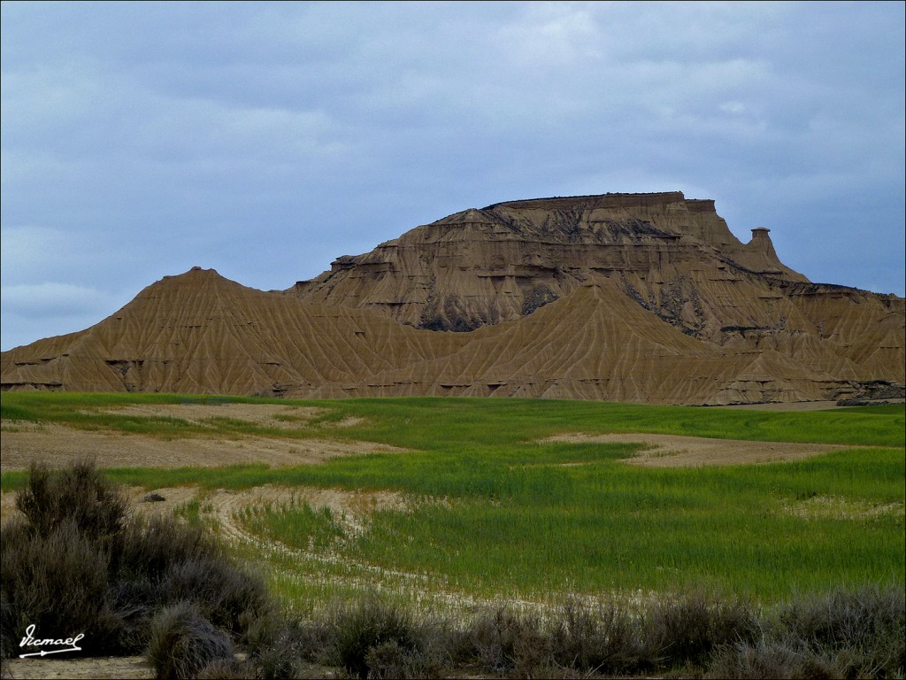 Foto: 120426-34 BARDENAS REALES - Bardenas Reales (Navarra), España