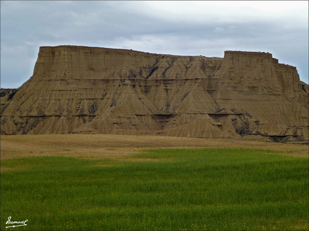Foto: 120426-37 BARDENAS REALES - Bardenas Reales (Navarra), España