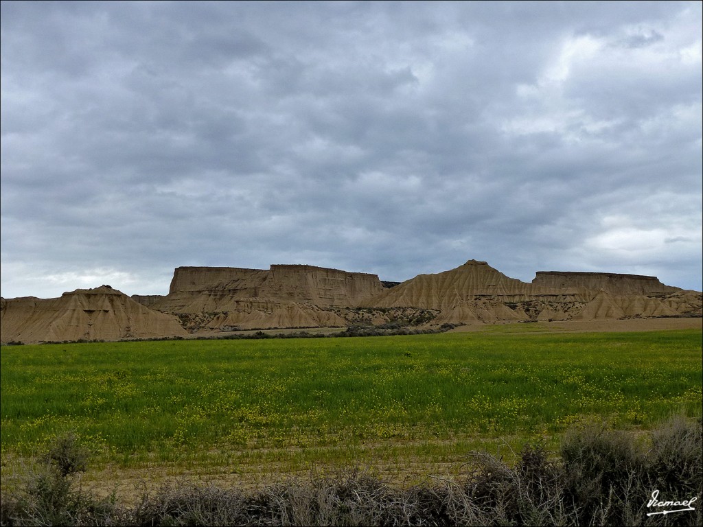 Foto: 120426-38 BARDENAS REALES - Bardenas Reales (Navarra), España