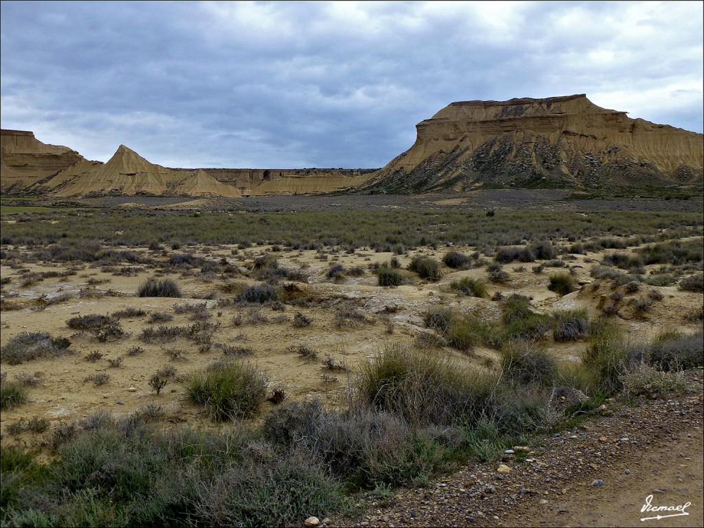 Foto: 120426-40 BARDENAS REALES - Bardenas Reales (Navarra), España