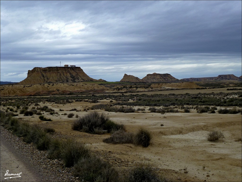 Foto: 120426-42 BARDENAS REALES - Bardenas Reales (Navarra), España