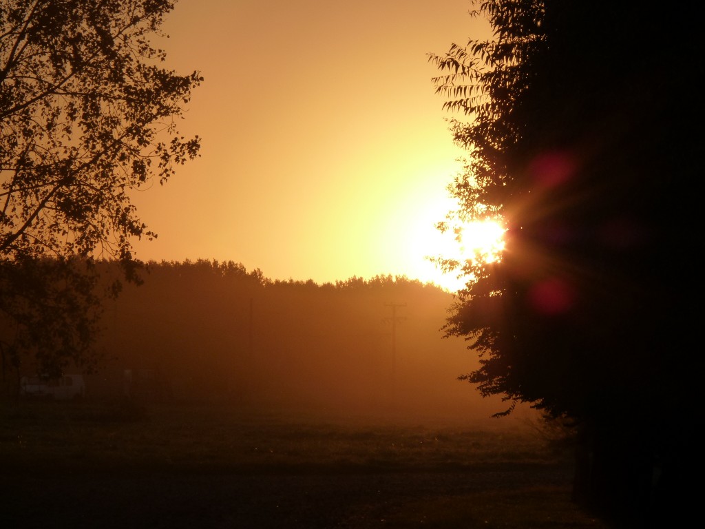 Foto: Laguna de Lobos - Lobos (Buenos Aires), Argentina