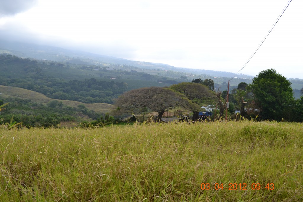 Foto: SAN ISIDRO - San Isidro (Alajuela), Costa Rica