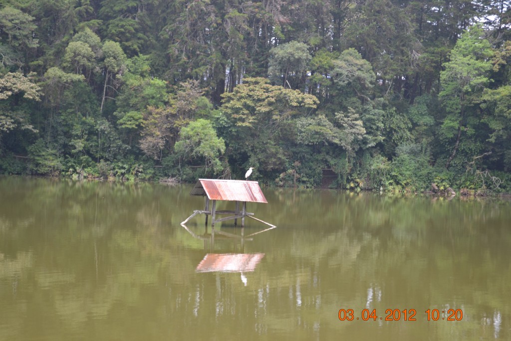 Foto: LAGUNA DE FRAIJANES (Fraijanes De San Isidro De Alajuela) - Fraijanes De San Isidro De Alajuela (Alajuela), Costa Rica
