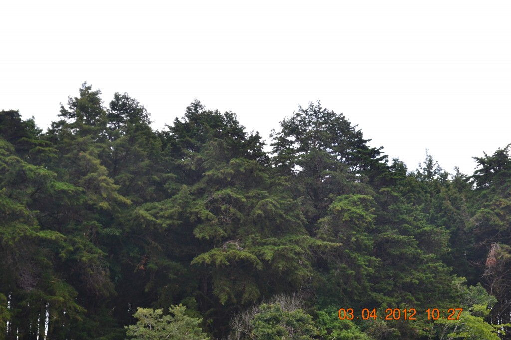 Foto: LAGUNA DE FRAIJANES (Fraijanes De San Isidro De Alajuela) - Fraijanes De San Isidro De Alajuela (Alajuela), Costa Rica