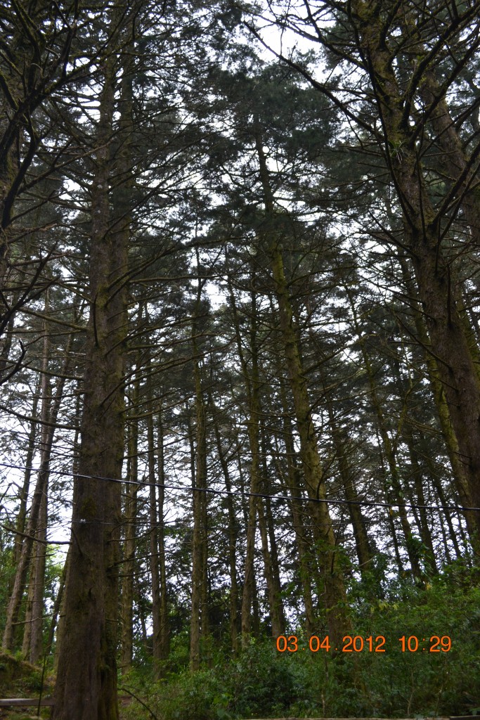 Foto: LAGUNA DE FRAIJANES (Fraijanes De San Isidro De Alajuela) - Fraijanes De San Isidro De Alajuela (Alajuela), Costa Rica