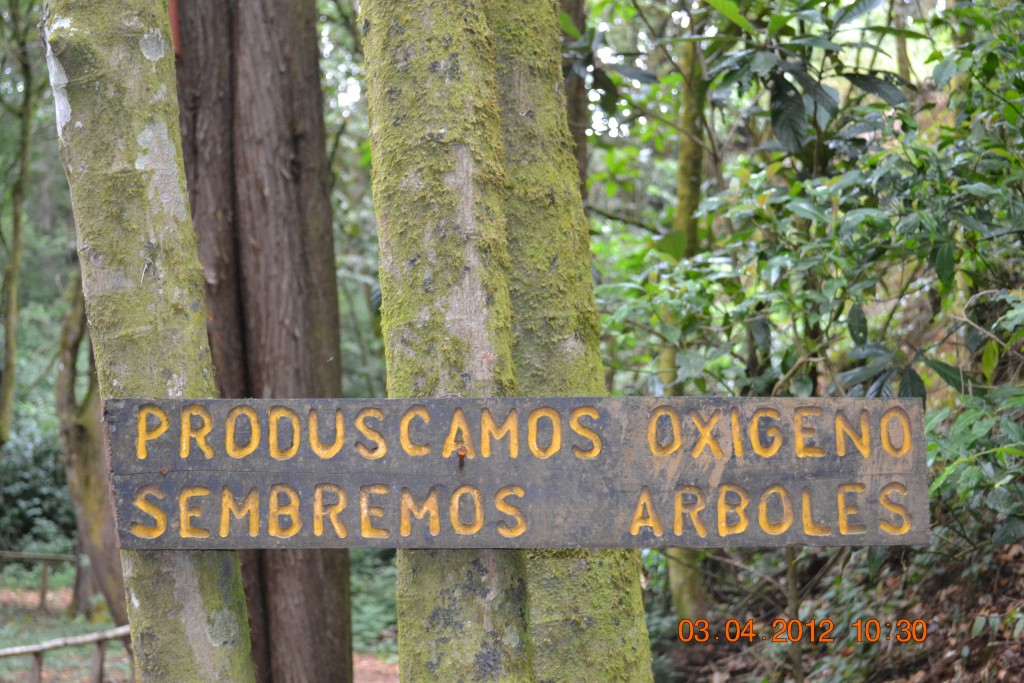 Foto: LAGUNA DE FRAIJANES (Fraijanes De San Isidro De Alajuela) - Fraijanes De San Isidro De Alajuela (Alajuela), Costa Rica