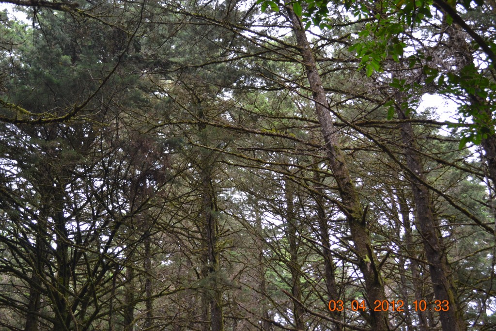 Foto: LAGUNA DE FRAIJANES (Fraijanes De San Isidro De Alajuela) - Fraijanes De San Isidro De Alajuela (Alajuela), Costa Rica