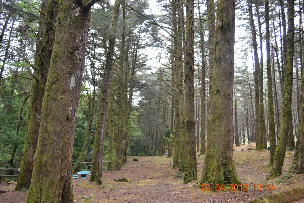 Foto: LAGUNA DE FRAIJANES (Fraijanes De San Isidro De Alajuela) - Fraijanes De San Isidro De Alajuela (Alajuela), Costa Rica