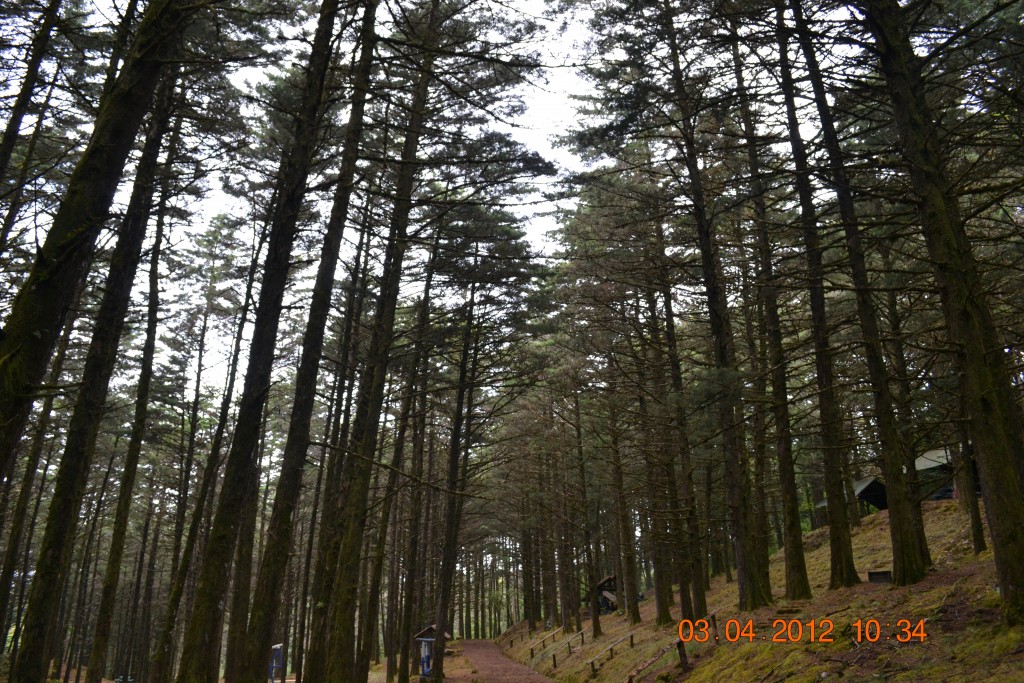 Foto: LAGUNA DE FRAIJANES (Fraijanes De San Isidro De Alajuela) - Fraijanes De San Isidro De Alajuela (Alajuela), Costa Rica