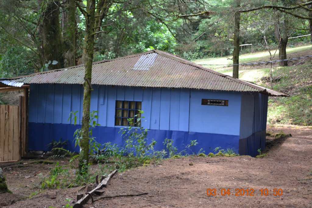 Foto: LAGUNA DE FRAIJANES (Fraijanes De San Isidro De Alajuela) - Fraijanes De San Isidro De Alajuela (Alajuela), Costa Rica