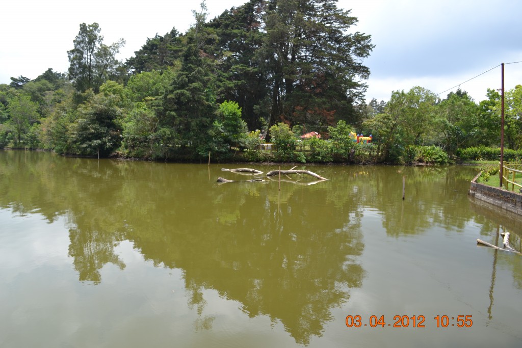 Foto: FRAIJANES - Fraijanes De San Isidro De Alajuela (Alajuela), Costa Rica