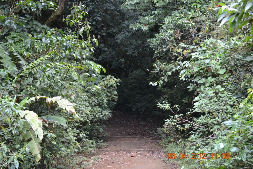Foto: LAGUNA DE FRAIJANES (Fraijanes De San Isidro De Alajuela) - Fraijanes De San Isidro De Alajuela (Alajuela), Costa Rica