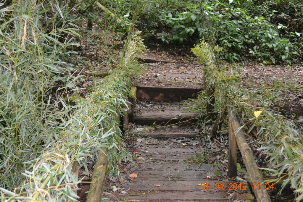 Foto: LAGUNA DE FRAIJANES (Fraijanes De San Isidro De Alajuela) - Fraijanes De San Isidro De Alajuela (Alajuela), Costa Rica