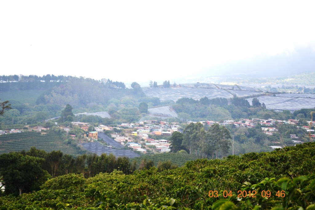 Foto: CERRILLAL - Cerrillal De San Isidro (Alajuela), Costa Rica