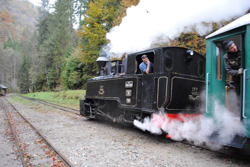 Foto: Tren a Vapor - Viseu De Sus, Rumania