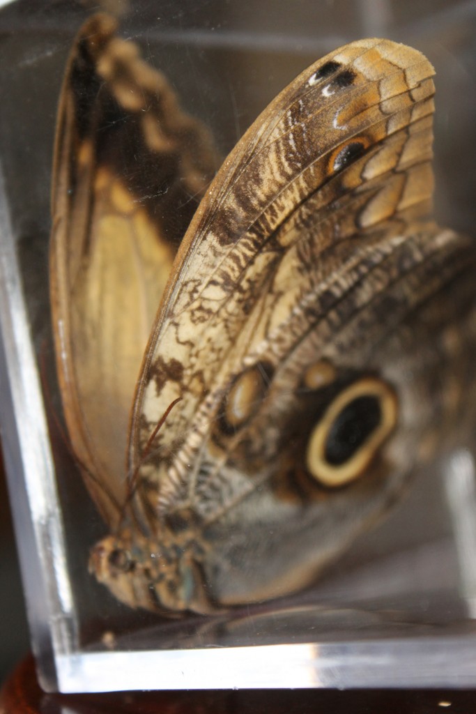 Foto de Tapachula (Chiapas), México