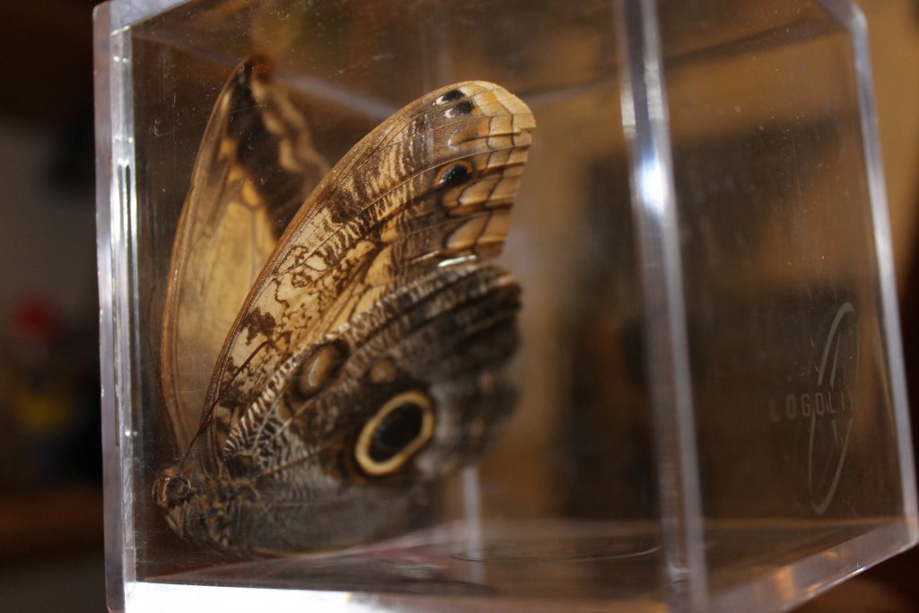 Foto de Tapachula (Chiapas), México