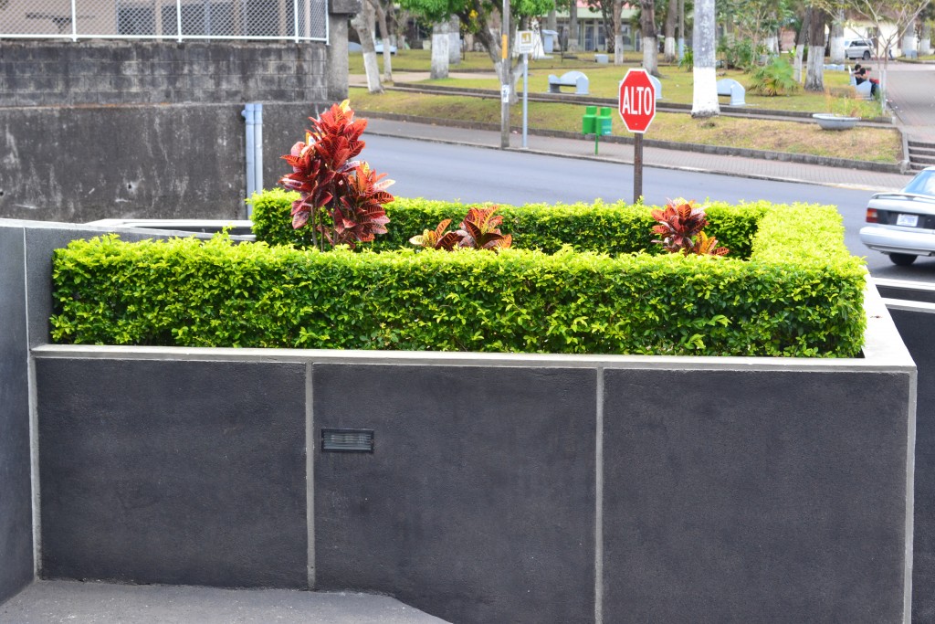 Foto: TRIBUNALES - Alajuela, Costa Rica