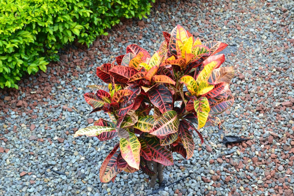 Foto: TRIBUNALES - Alajuela, Costa Rica