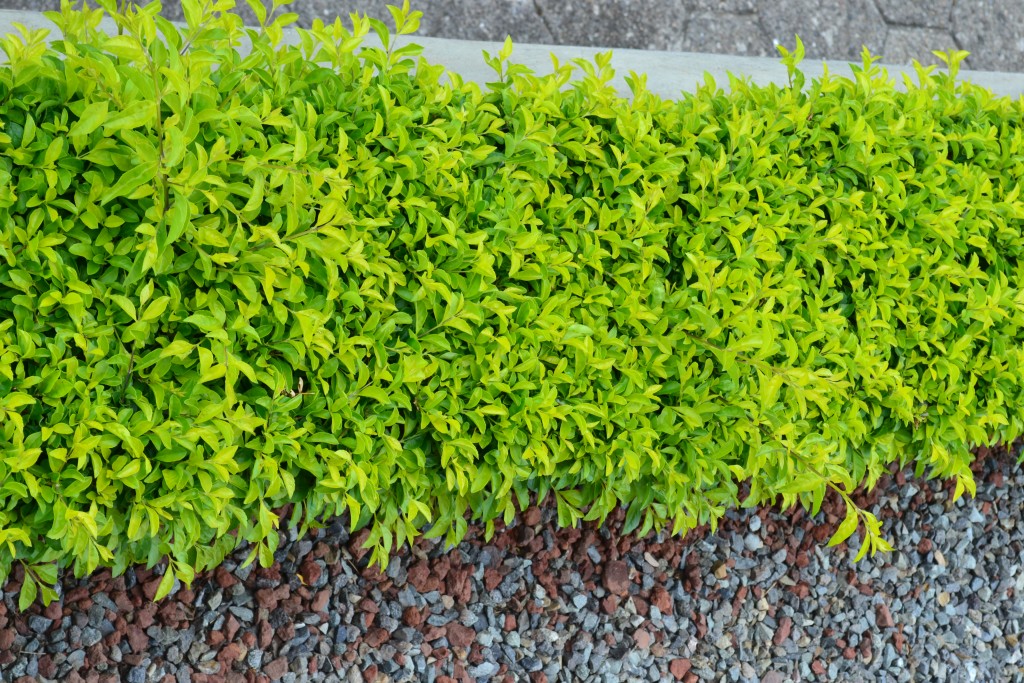 Foto: TRIBUNALES - Alajuela, Costa Rica