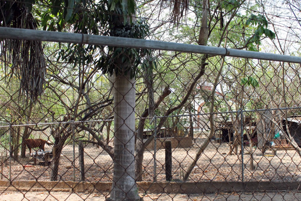 Foto de Tapachula (Chiapas), México