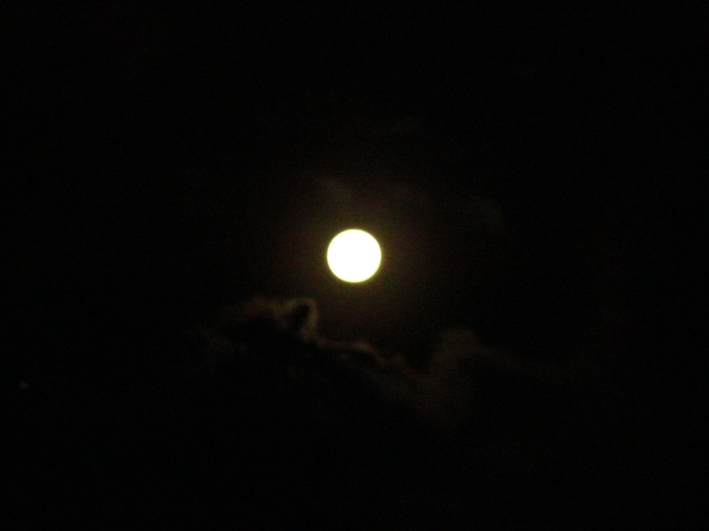 Foto: Luna - Shell (Pastaza), Ecuador