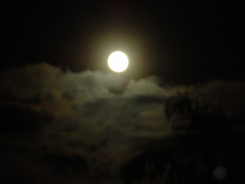 Foto: Luna - Shell (Pastaza), Ecuador