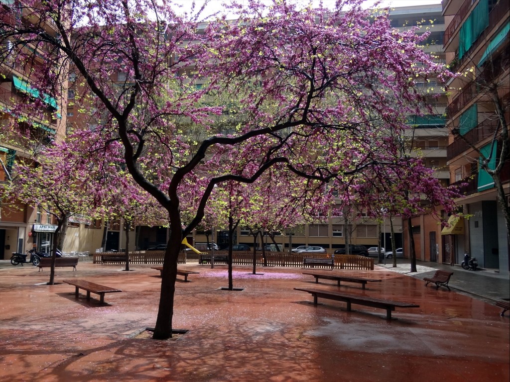 Foto: Placeta Andrade - Barcelona (Cataluña), España