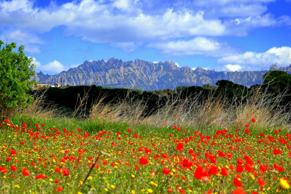 Foto: Montserrat desde Piera. - Piera (Barcelona), España