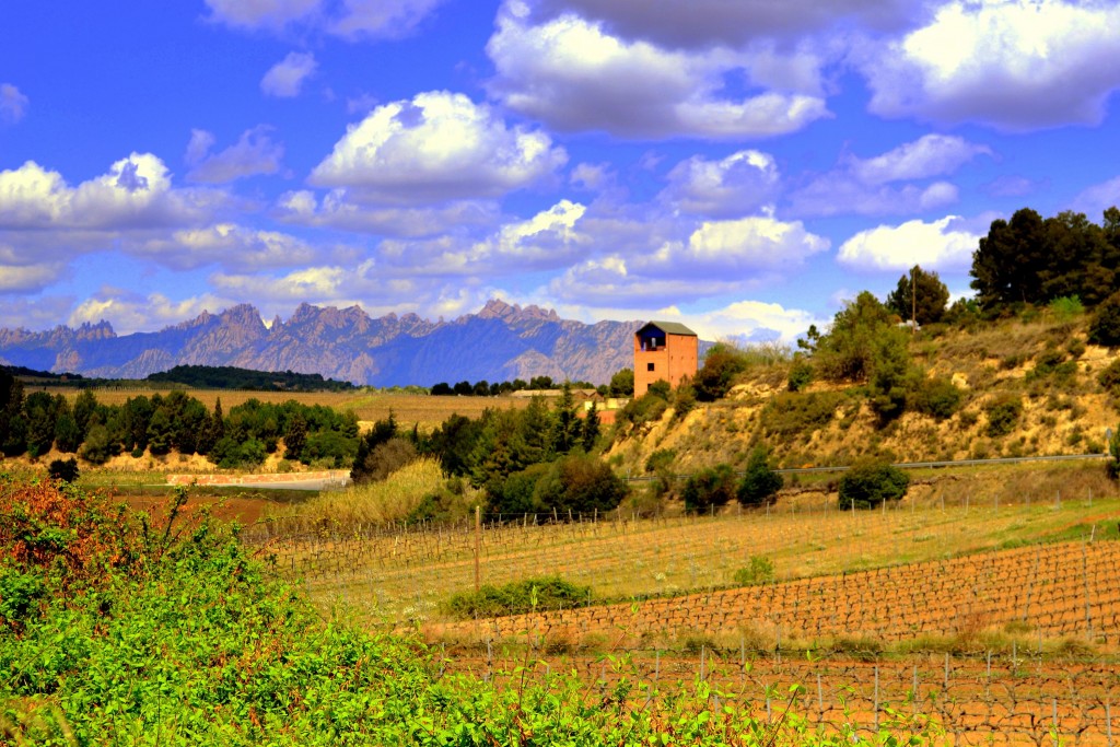 Foto: Montserrat desde Espiells - Sant Sadurní d'Anoia (Barcelona), España