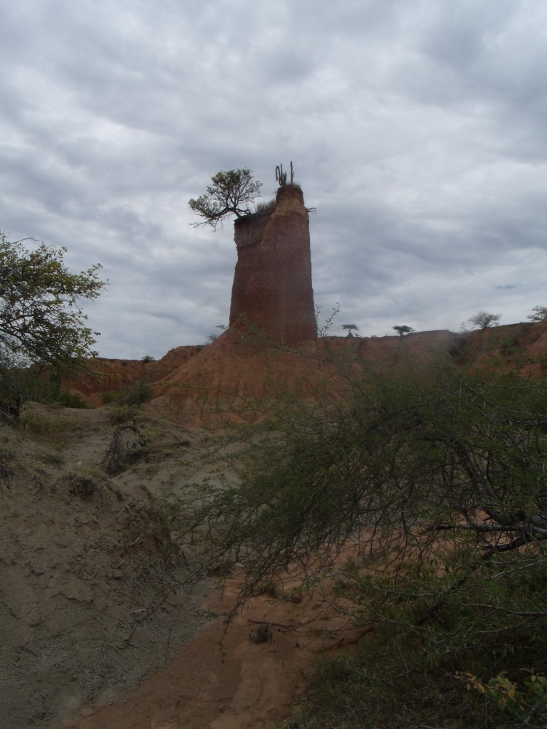 Foto: La torre - Villa Vieja (Huila), Colombia