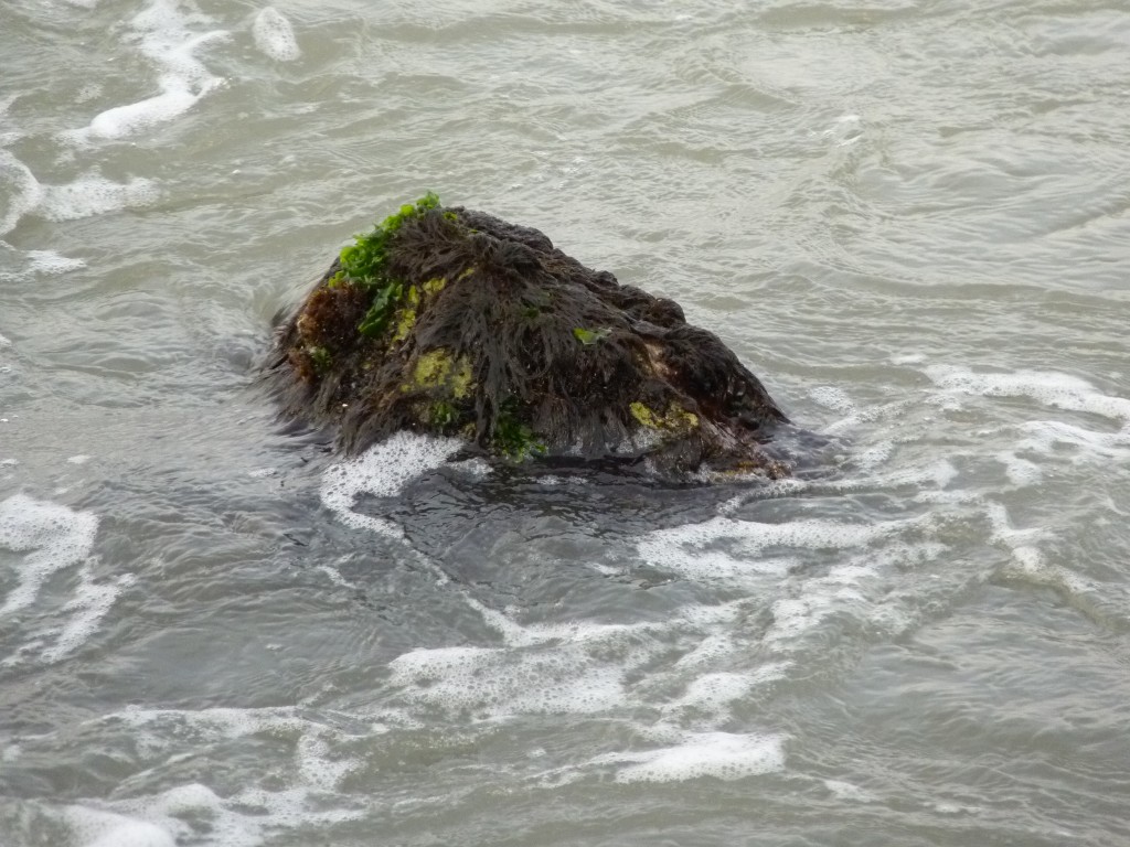 Foto: La Perla - Mar del Plata (Buenos Aires), Argentina
