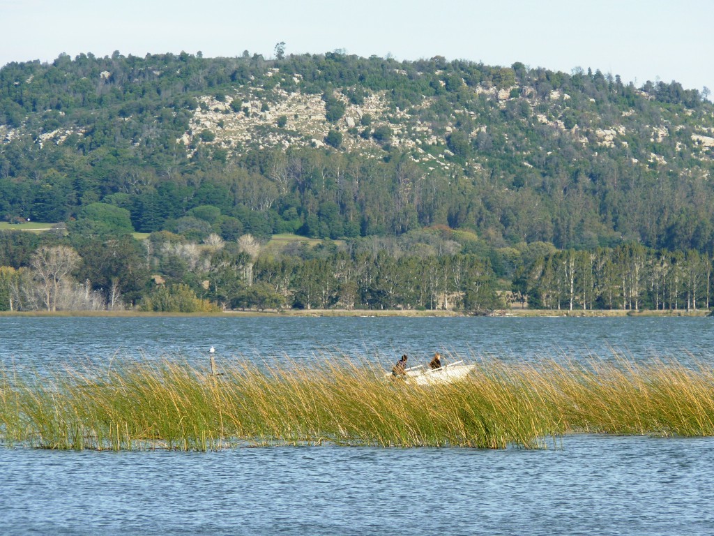 Foto: Laguna La Brava - Mar del Plata (Buenos Aires), Argentina