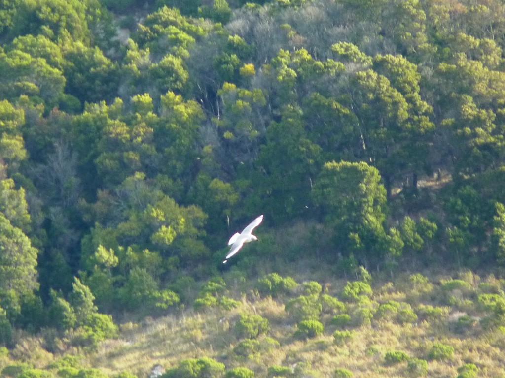 Foto: Laguna La Brava - Mar del Plata (Buenos Aires), Argentina